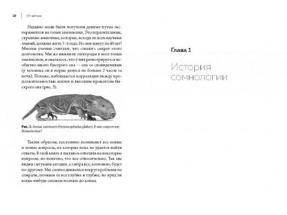 Фотография книги "Ковальзон: Маятник сна"