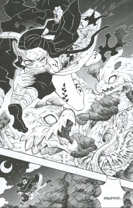 Фотография книги "Коёхару: Истребитель демонов. Том 14. "Му" в имени Муитиро"