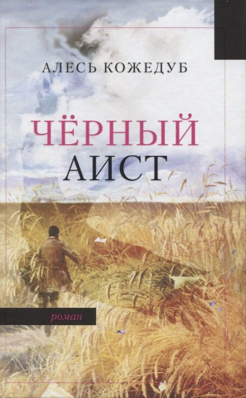 Обложка книги "Кожедуб: Черный аист"