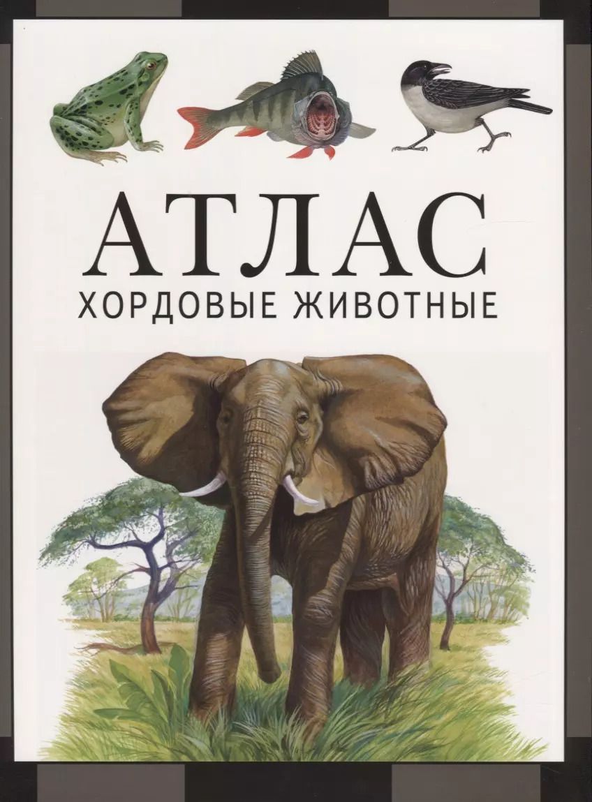 Обложка книги "Козлов, Дольник: Хордовые животные. Атлас"