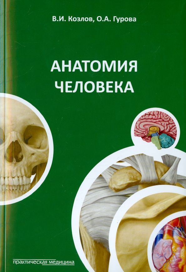 Обложка книги "Козлов, Гурова: Анатомия человека. Краткий курс"