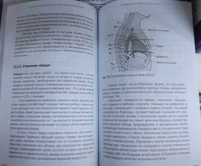 Фотография книги "Козлов, Гурова: Анатомия человека. Краткий курс"