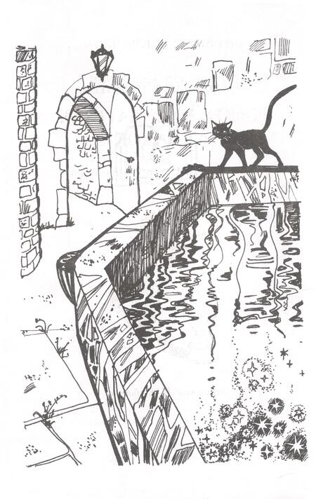 Фотография книги "Крапивин: Топот шахматных лошадок"