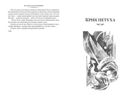 Фотография книги "Крапивин: В глубине Великого Кристалла"