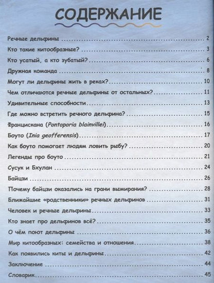 Фотография книги "Краснова, Чернецкий: Где живут дельфины? И чего мы не знаем о самых общительных животных?"