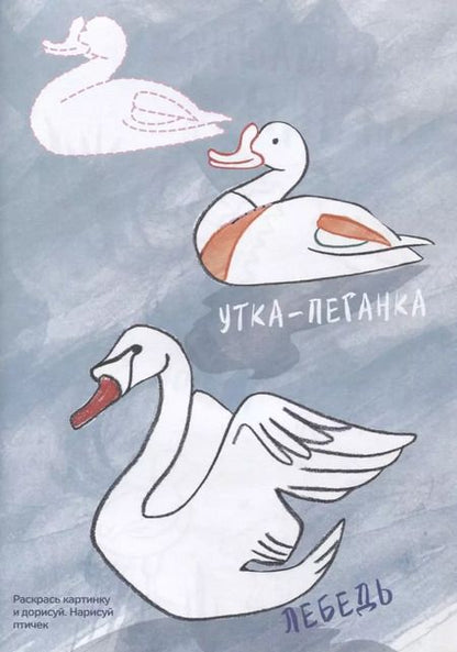 Фотография книги "Креативная раскраска с наклейками Птицы (А4)"