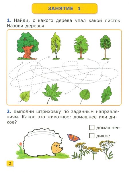 Фотография книги "Крылова, Конопля: Я учусь писать. Рабочая тетрадь. 7 лет. ФГОС ДО"