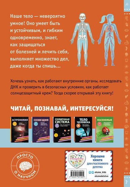 Фотография книги "Кристи Вагнер: Тело человека. Как устроен наш организм"