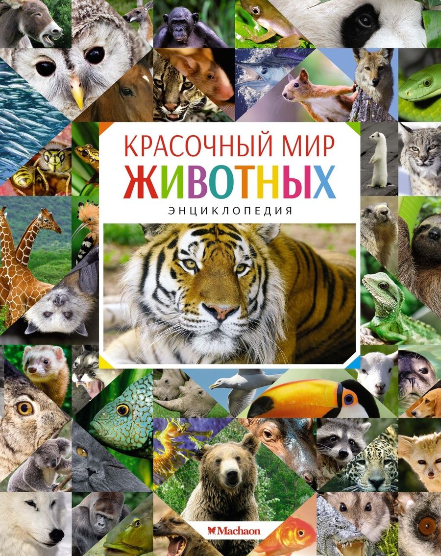 Обложка книги "Кристин Балле: Красочный мир животных"