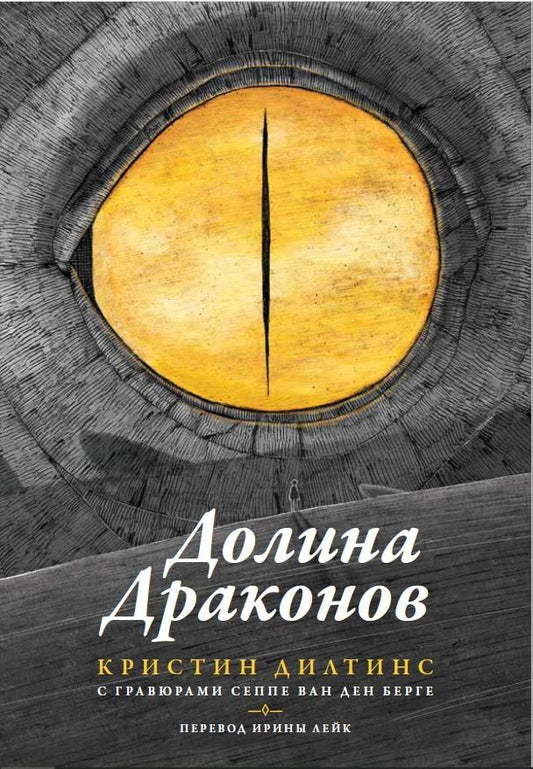 Обложка книги "Кристин Дилтинс: Долина драконов"