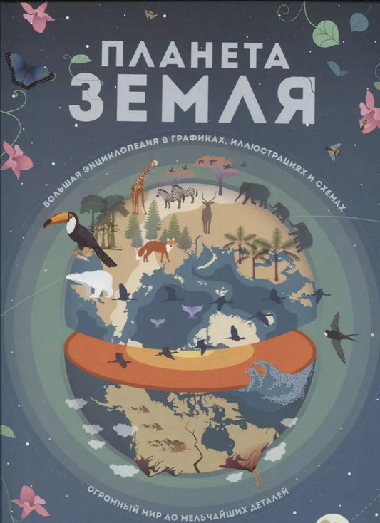 Обложка книги "Кристина Банфи: Планета Земля. Большая энциклопедия в графиках, иллюстрациях и схемах"