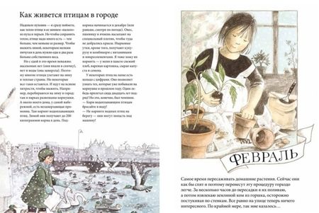 Фотография книги "Кристина Бьорк: Календарь Линнеи"