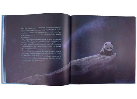 Фотография книги "Кристина Нгуен: Истории о Пандимуне "