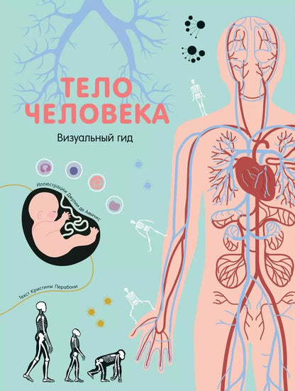 Обложка книги "Кристина Перабони: Тело человека. Визуальный гид"