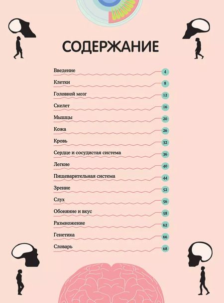 Фотография книги "Кристина Перабони: Тело человека. Визуальный гид"