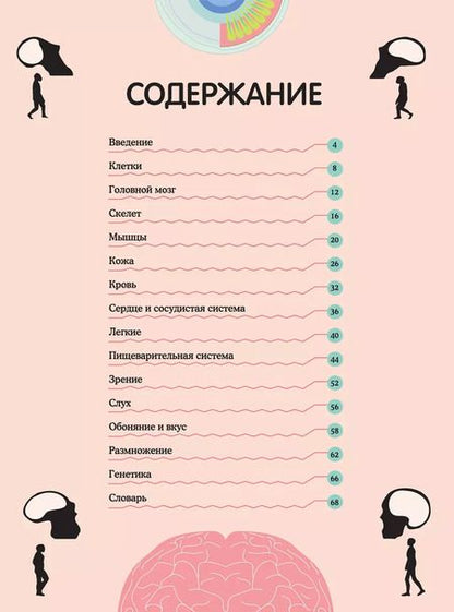 Фотография книги "Кристина Перабони: Тело человека. Визуальный гид"