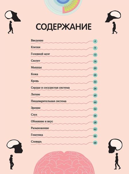 Фотография книги "Кристина Перабони: Тело человека. Визуальный гид"