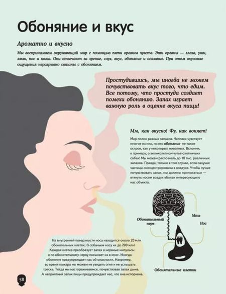 Фотография книги "Кристина Перабони: Тело человека. Визуальный гид"