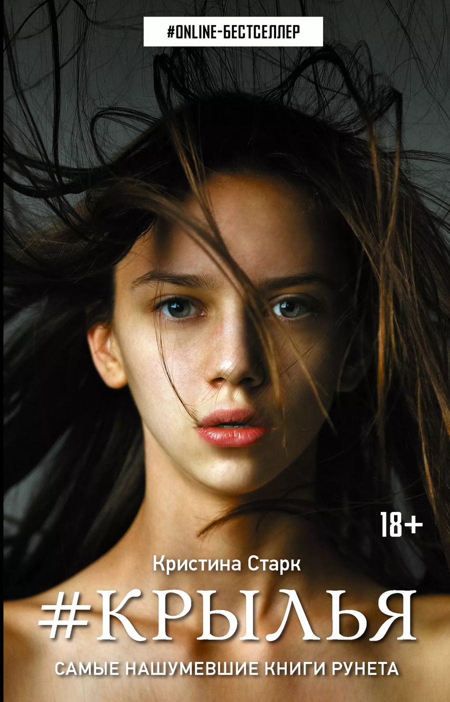 Обложка книги "Кристина Старк: Крылья"