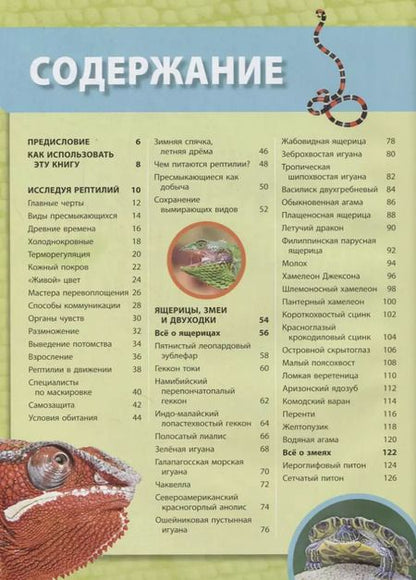 Фотография книги "Кристина Уилсдон: Большая энциклопедия рептилий"