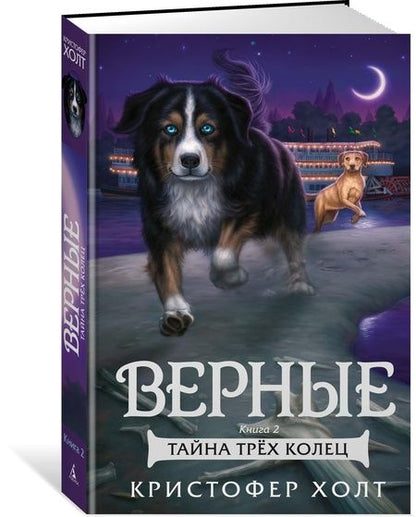 Фотография книги "Кристофер Холт: Верные. Книга 2. Тайна трех колец"