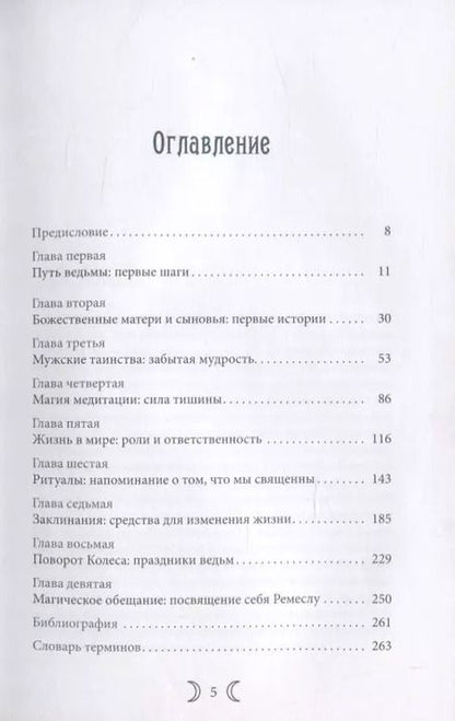 Фотография книги "Кристофер Пензак: Сыновья Богини. Руководство по Викке для юношей"