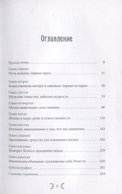 Фотография книги "Кристофер Пензак: Сыновья Богини. Руководство по Викке для юношей"