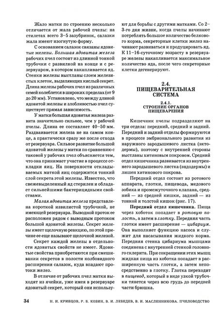 Фотография книги "Кривцов, Козин, Лебедев: Пчеловодство. Учебник"