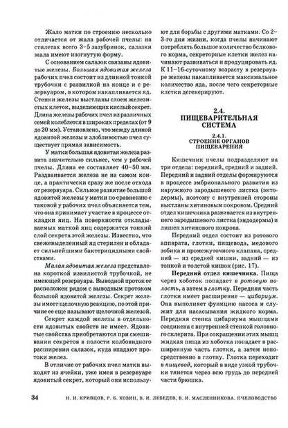 Фотография книги "Кривцов, Козин, Лебедев: Пчеловодство. Учебник"