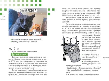Фотография книги "Кронгауз, Литвин, Мерзлякова: Словарь языка интернета.ru"
