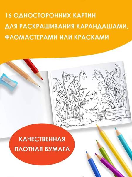 Фотография книги "Круглый год. Альбом для раскрашивания"