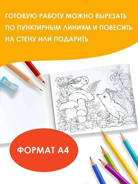 Фотография книги "Круглый год. Альбом для раскрашивания"
