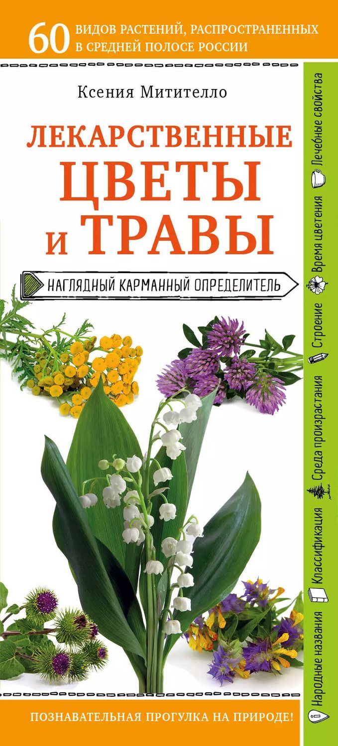 Обложка книги "Ксения Борисовна: Лекарственные цветы и травы. Наглядный карманный определитель"