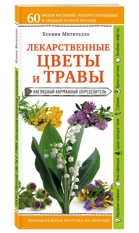 Фотография книги "Ксения Борисовна: Лекарственные цветы и травы. Наглядный карманный определитель"