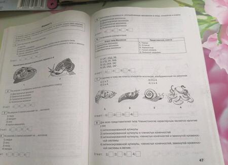 Фотография книги "Ксения Дятлова: Биология. Тематические тесты. 7 класс"