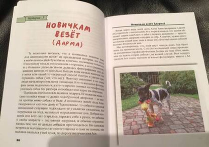 Фотография книги "Ксения Колосова: Я нашла вам собаку"