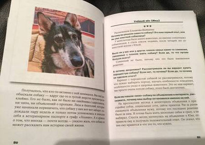 Фотография книги "Ксения Колосова: Я нашла вам собаку"