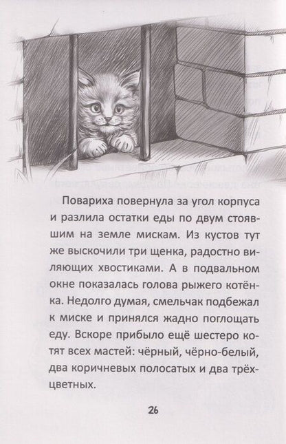 Фотография книги "Ксения Коскина: Я тебя не брошу. Полосатое счастье"