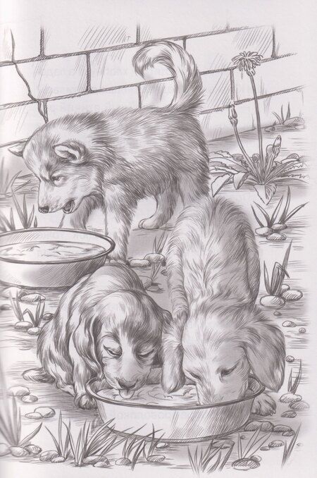 Фотография книги "Ксения Коскина: Я тебя не брошу. Полосатое счастье"