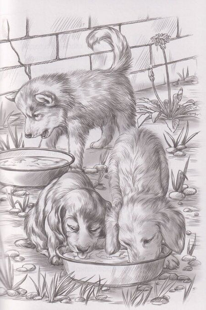 Фотография книги "Ксения Коскина: Я тебя не брошу. Полосатое счастье"