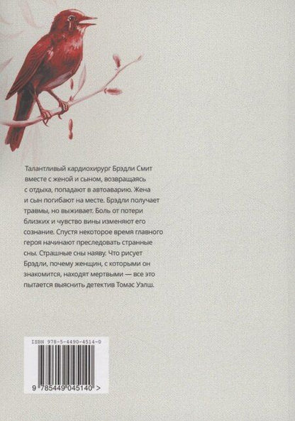 Фотография книги "Ксения Несмелова: Загадочные рисунки Брэдли"