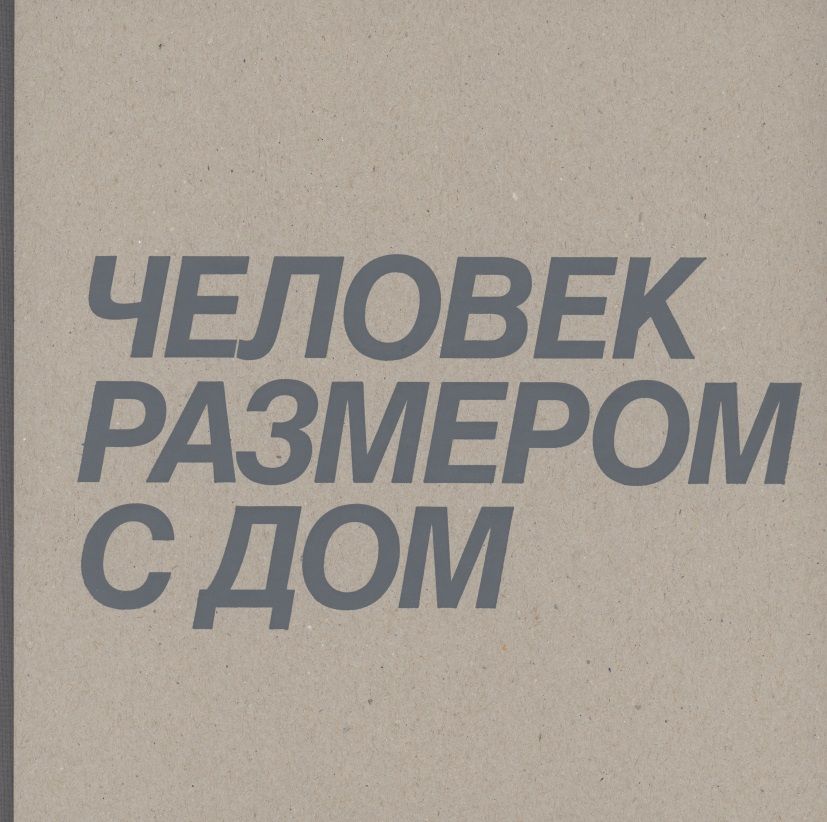 Обложка книги "Ксения Перетрухина: Дмитрий Брусникин. Человек размером с дом"