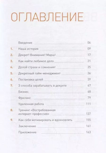 Фотография книги "Ксения Секиро: 3 способа зарабатывать в декрете"