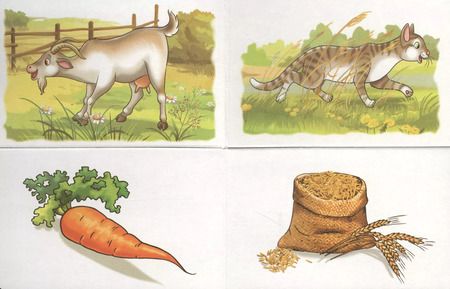 Фотография книги "Кто что любит есть?"