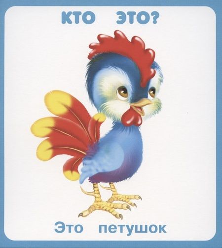 Фотография книги "Кто это, что это? Набор карточек"