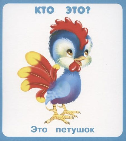 Фотография книги "Кто это, что это? Набор карточек"