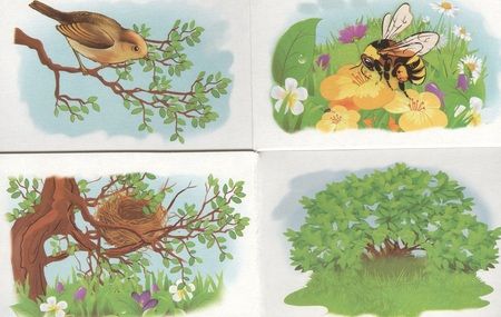 Фотография книги "Кто где живет?"