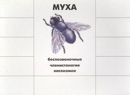 Фотография книги "Кто как устроен. Познавательная игра-лото"