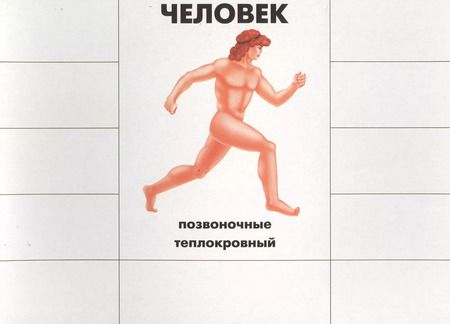 Фотография книги "Кто как устроен. Познавательная игра-лото"