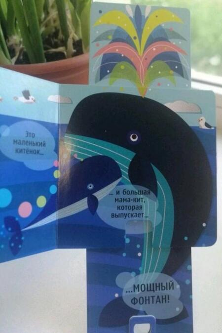 Фотография книги "Кто спрятался? В океане. Потяни и узнай"